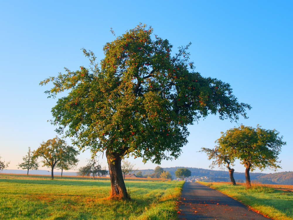 Herbst 2